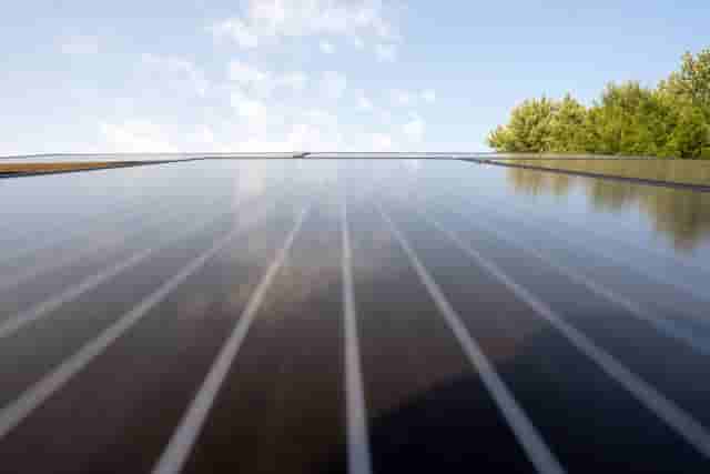 Solar panel maintenance and damage: what every homeowner should know